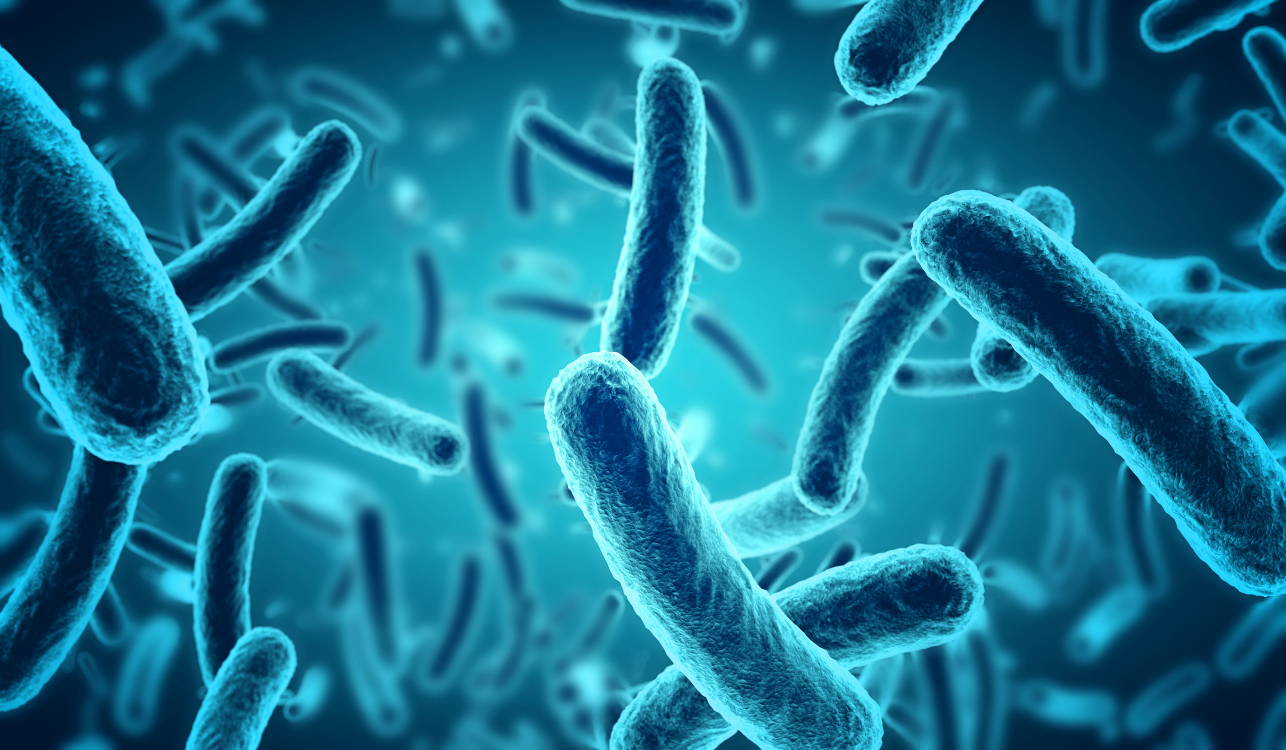 The Mighty Bacillus Subtilis: A Promising Probiotic for Gut Health and Overall Wellness